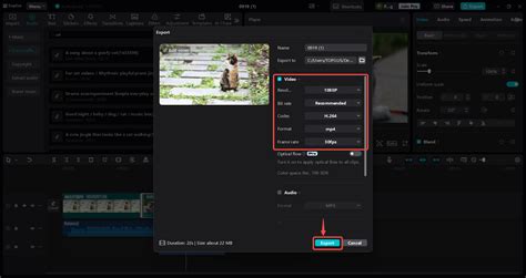 Image result for PRV Video Editing