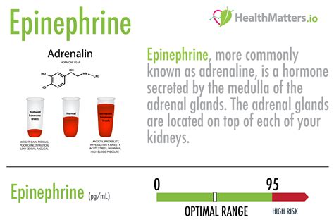 What is Epinephrine?