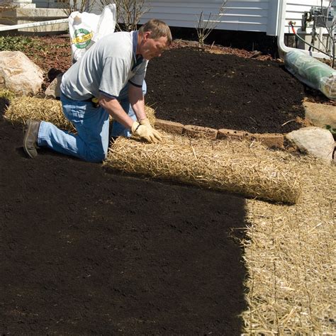 Buy EZ Straw Grass Seed Germination and Erosion Control Blanket - 4ft ...