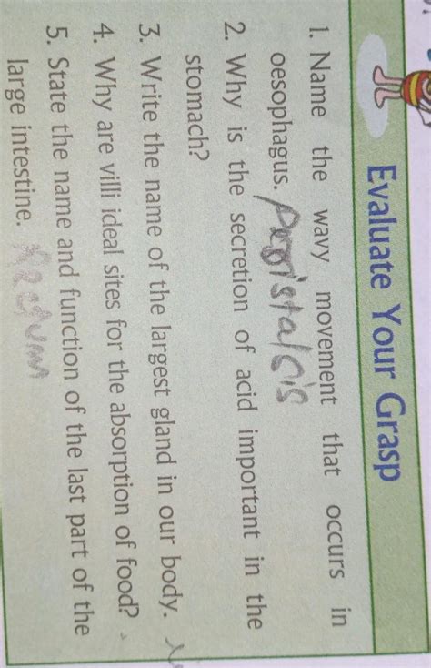 why is secretion of acud important in the stomach - Brainly.in