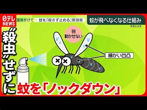 Image result for Alien M-Pro