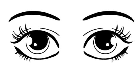 Image result for Inside Shell Texture