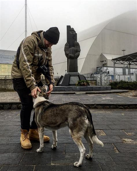 Doggo Radioactive 的图像结果