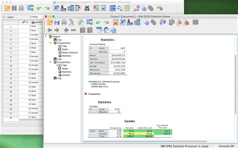 SPSS Software Computer 的图像结果
