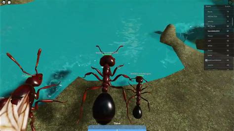 Ant Life Script AutoFarm Roblox 的图像结果