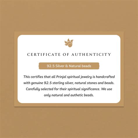 Rudraksha Silver Bracelet with Hexa Frame Double Bars – Prinjal Jewels