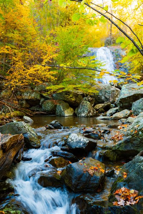 Shenandoah Gem: A Guide to Hiking the White Oak Canyon Trail