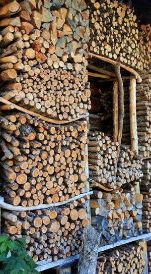 Image result for Thread Dep