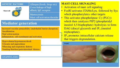 Mastocytosis and Mast Cell Activation Disorders: Clearing the Air
