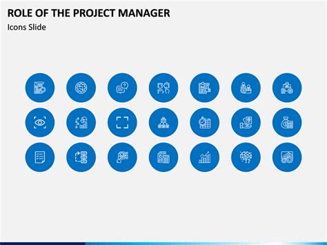 Image result for Advisory Role Project Manager