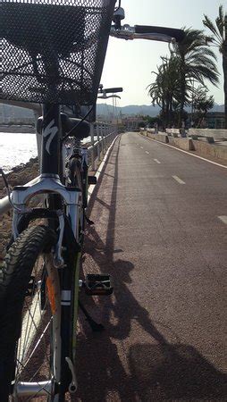 Ride A Bike Mallorca (Palma de Mallorca) - 2022 What to Know Before You ...