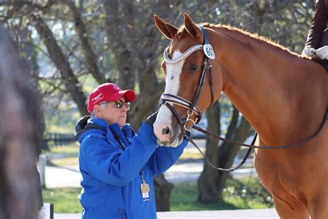 Image result for USDF Competitions