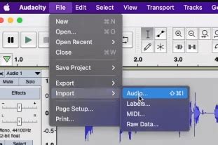 Image result for Audacity Audio Editing Tutorial