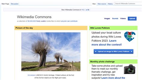 Wiki Commons 的图像结果