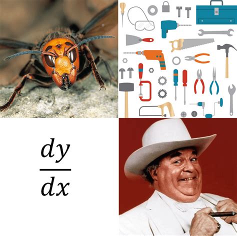 4 pictures that make absolutely no sense together unless you’re a Sunny ...