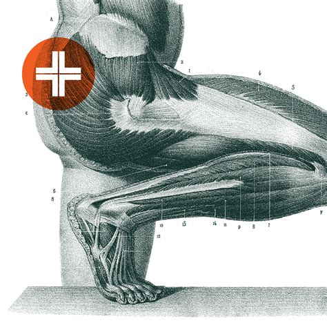 Image result for Functional Task Training