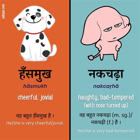 #learnhindi #hindi #india #delhi #language #namaste #hindicourse #zabaan #urdu #urdupoetry # ...