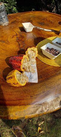 Choco Tour Costa Rica (San Mateo) - 2022 What to Know Before You Go ...