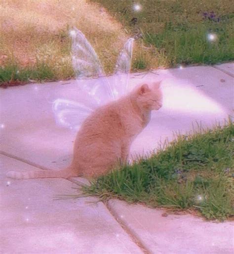 Image result for Sinking Spring Spirit