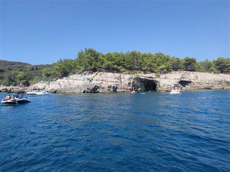 Burin Dolphin excursion Pula - Pula | Tripadvisor