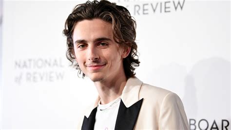 Timothée Chalamet Debuted a Brand-New Mustache at the National Board of ...