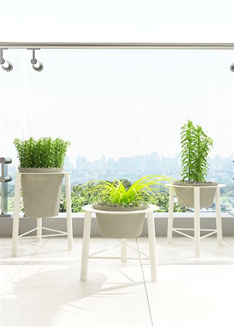 Get Rings Planter (Set of 3) at ₹ 5499 | LBB Shop