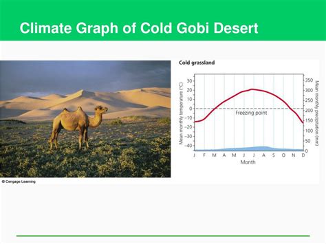 Climate Of Gobi Desert