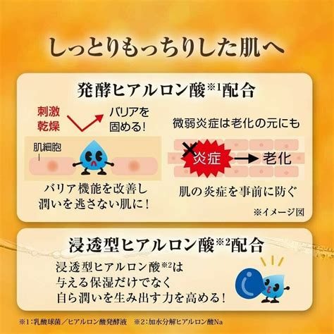 NEW Design ROHTO Hada labo Gokujyun PREMIUM India | Ubuy