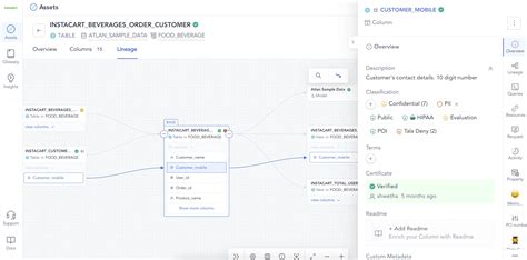 Metadata Management 的图像结果