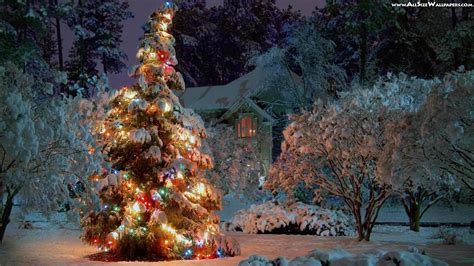 Image result for High Resolution Yule