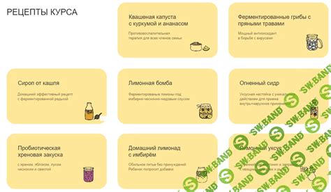 Скачать курс «Ферментация для иммунитета» [marika_fermentinwonderland]