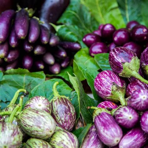 What Does Eggplant Taste Like?