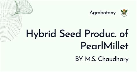 Hybrid Seed Production Technology of Pearl Millet | Crop Improvement I ...