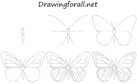 How to Draw a Butterfly for Beginners | Dessin papillon, Comment ...