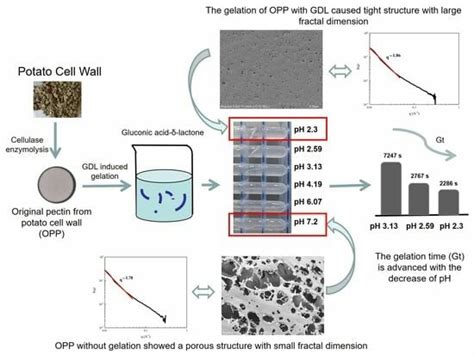 Insights into the Acid-Induced Gelation of Original Pectin from Potato ...
