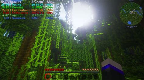 Project MMO Mod Commands 的图像结果