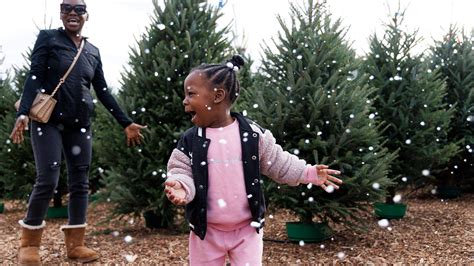 Where to buy live Christmas trees Raleigh, Durham, Cary 2024 | Raleigh ...