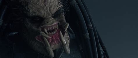 Image result for Alien vs Predator Cover