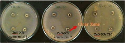Image result for Well Diffusion Method