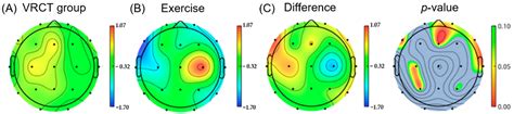 Virtual Reality and Exercise Training Enhance Brain, Cognitive, and ...