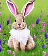 Image result for Cute Names for Your Light Brown Bunny