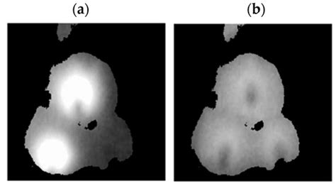 Thermographic Fault Diagnosis of Shaft of BLDC Motor