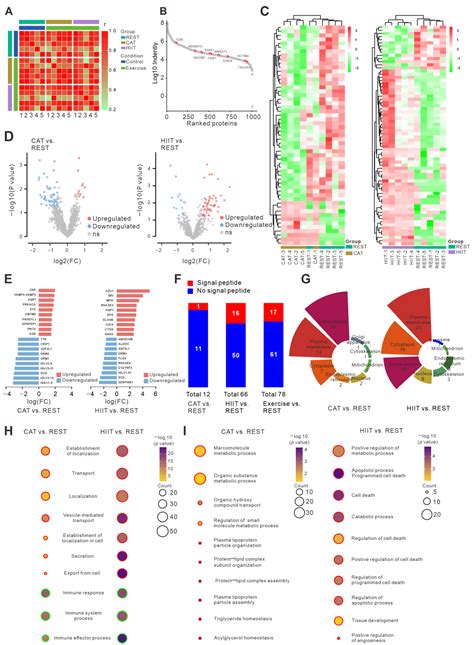 Differential Regulation of miRNA and Protein Profiles in Human Plasma ...