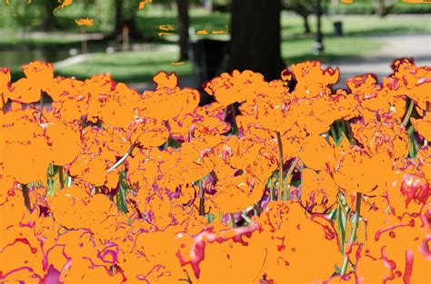 Image result for P3 Color Test