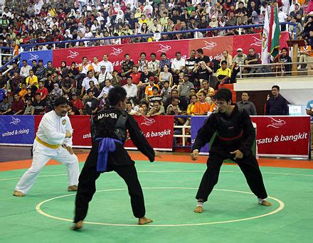 Image result for Silat Boxing
