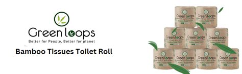 Green Loops Bamboo 3 Ply Toilet Tissue Paper Roll - Pack Of 48 - (300 ...
