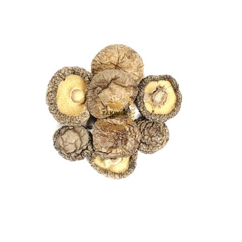 DRIED SHIITAKE MUSHROOM - TAKIMEX GLOBAL CO., LTD
