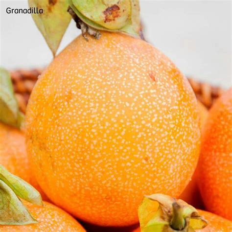 Granadilla en PERUVIAN EXPORT de Perú - ppfam.com