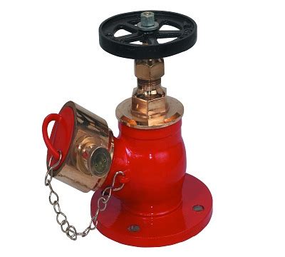 Fire hydrant valves