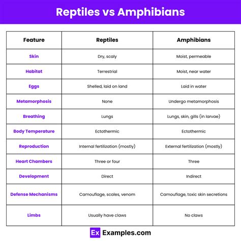 Amphibians And Reptiles Differences